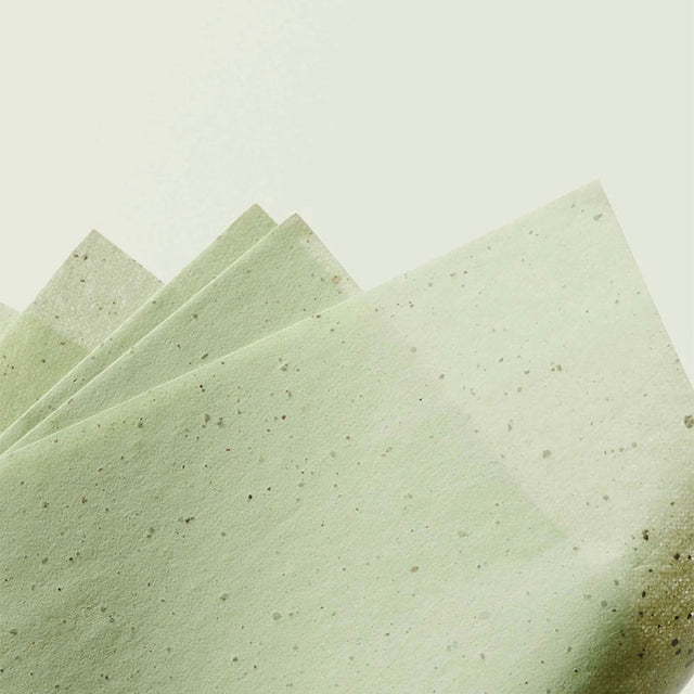 Ere Perez Green Tea Oil Control Papers