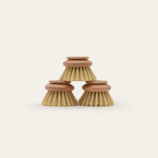 Seed_Sprout Long Handled Dish Brush Replacement Head 3-pack