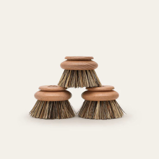 Seed & Sprout Dish Brush Replacement Heads