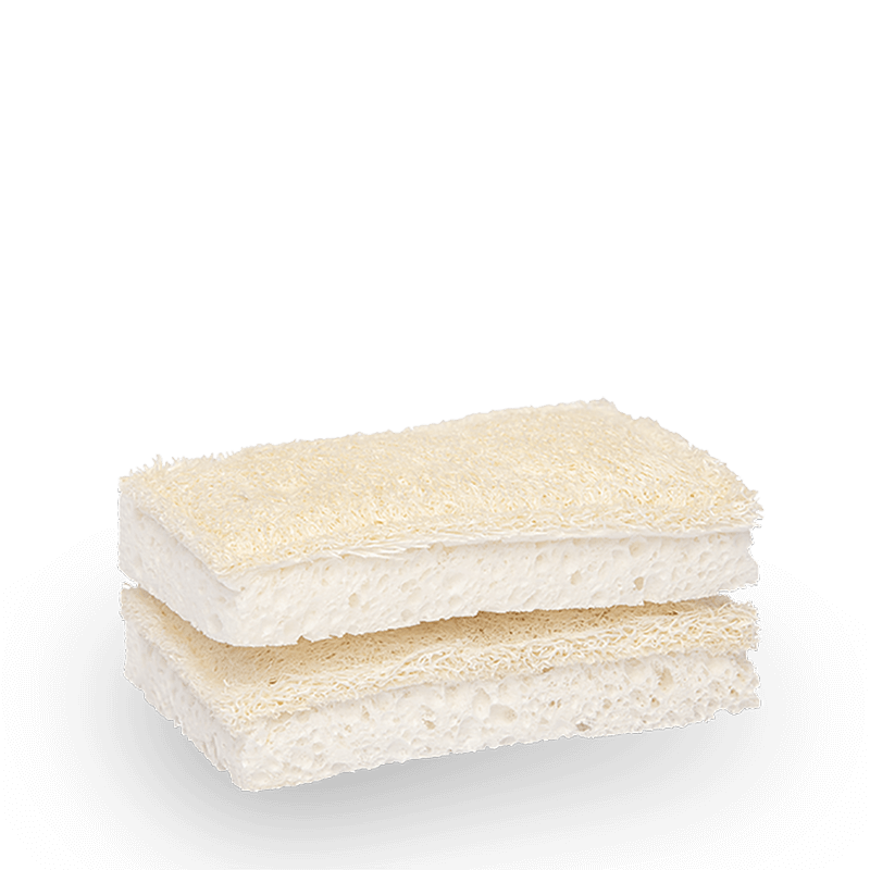 Seed & Sprout Compostable Sponge - Set of 2