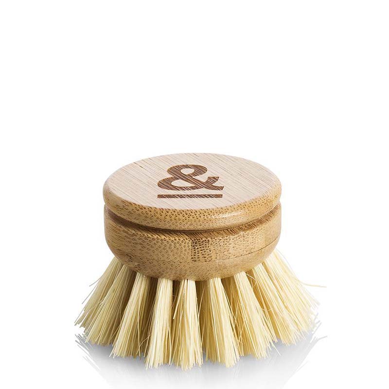 Seed & Sprout Long Handled Dish Brush replacement head