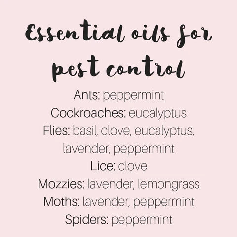 How to use essential oils for pest control