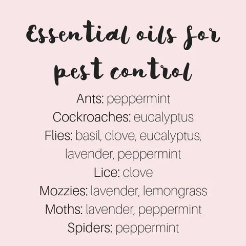 How to use essential oils for pest control