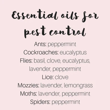 How to use essential oils for pest control