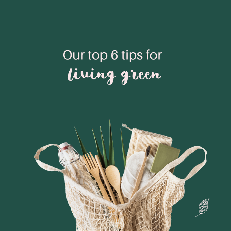 Our top 6 tips for living green