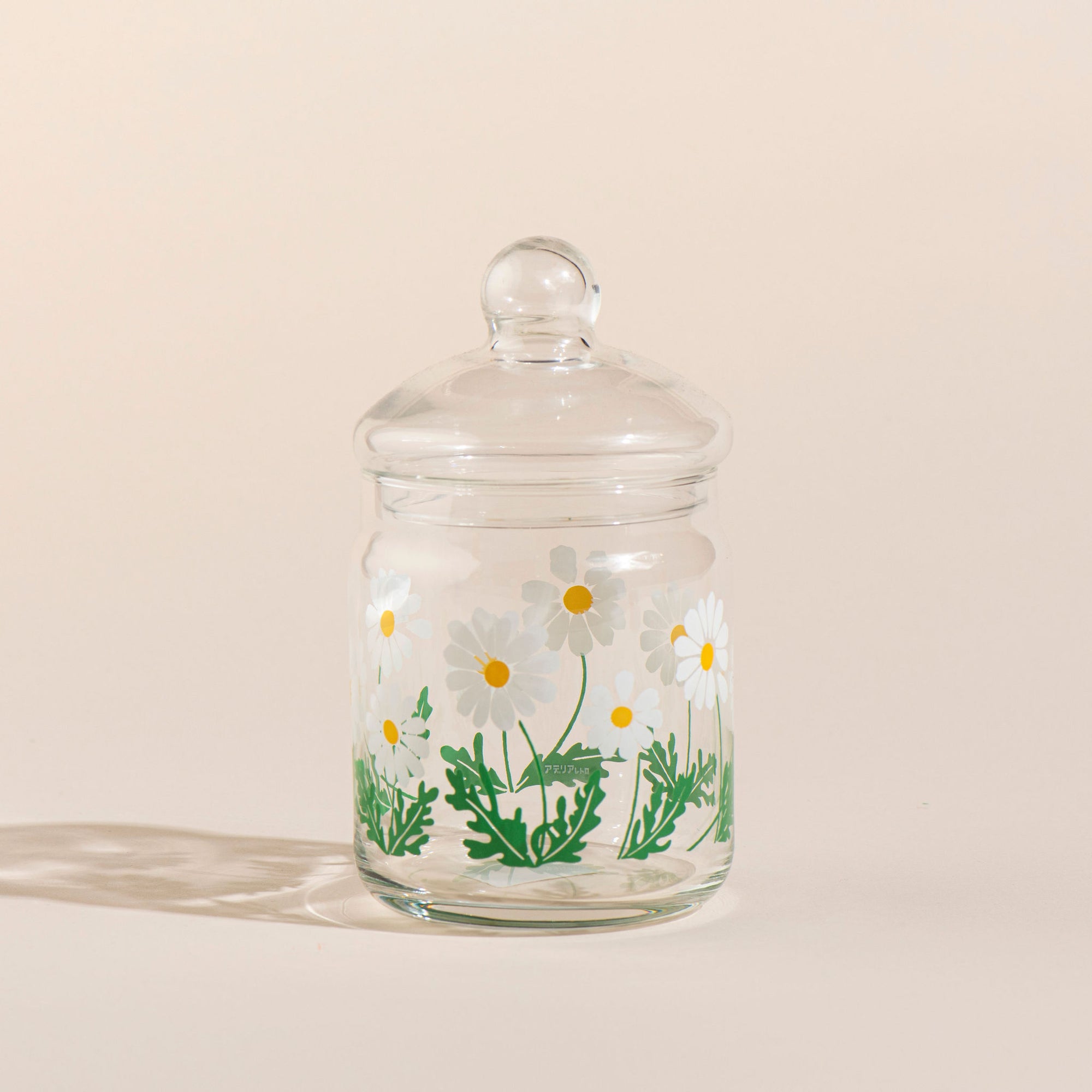 Aderia Retro Glass Storage Jar - White Daisy