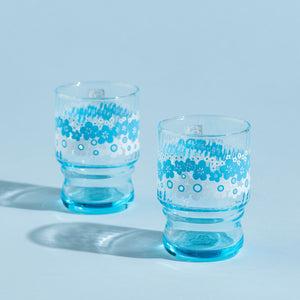 Aderia Retro Tumblers - Blue Flower