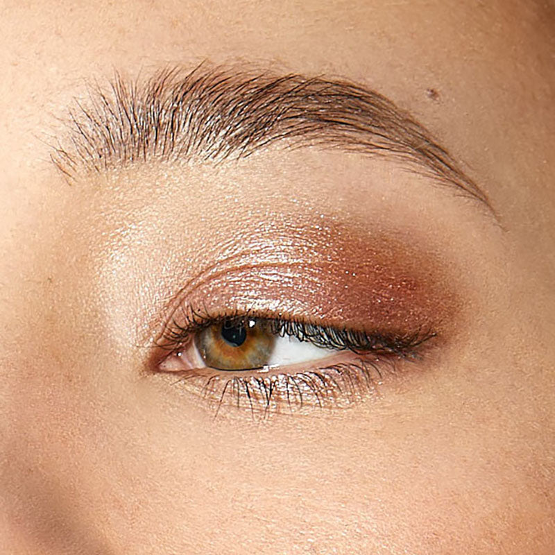 Aleph Hybrid Eye Pigment Atmos on model