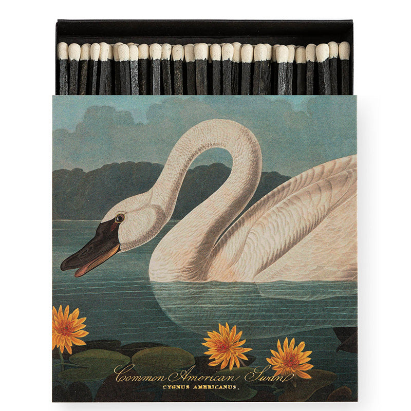 Archivist Gallery Common American Swan Luxury Matches