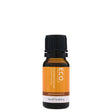 ECO. modern essentials Frankincense Essential Oil