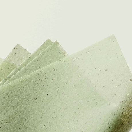 Ere Perez Green Tea Oil Control Papers