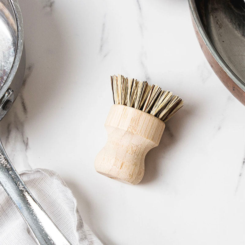 Ever Eco Pot Scrubber
