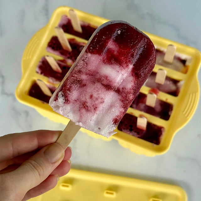 Ever Eco Silicone Popsicle Moulds