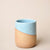 Lauren McQuade Coffee Cup - Electric Blue