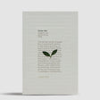 Love Tea Green Tea Pyramids 50 pyramids
