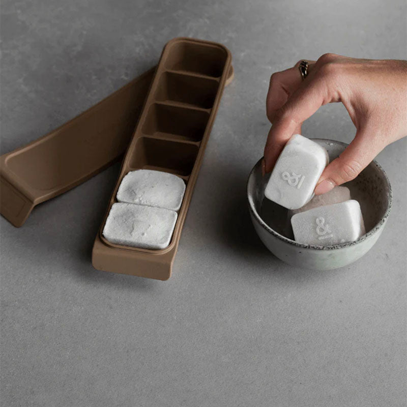 Seed & Sprout 6 Portion Silicone Freezer Tray Geelong