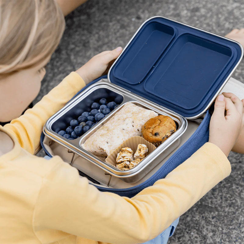 Seed & Sprout Bento Lunch Box