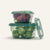Seed & Sprout Collapsible Lunchbox