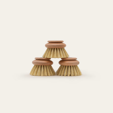Seed_Sprout Long Handled Dish Brush Replacement Head 3-pack
