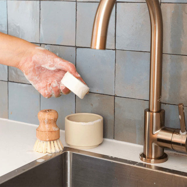 Seed & Sprout Pot Scrubber
