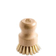 Seed & Sprout Pot Scrubber Geelong
