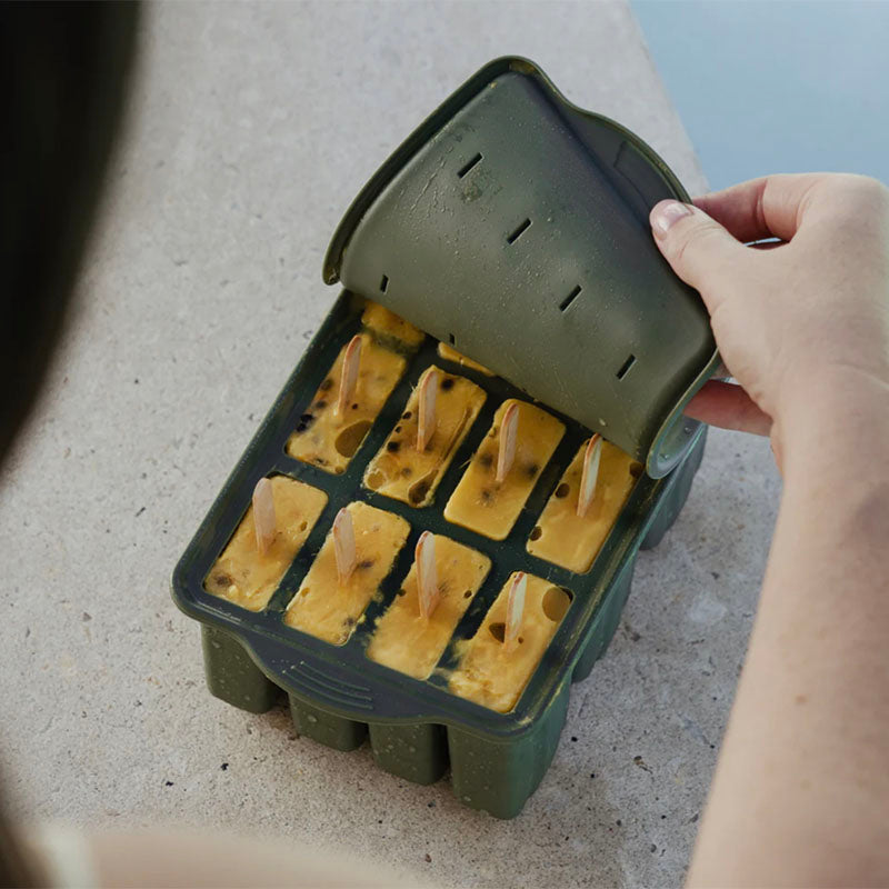 Seed & Sprout Silicone Icy Pole Mould Geelong
