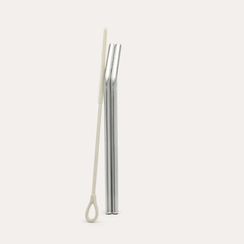 Seed & Sprout Straw Set - stainless steel