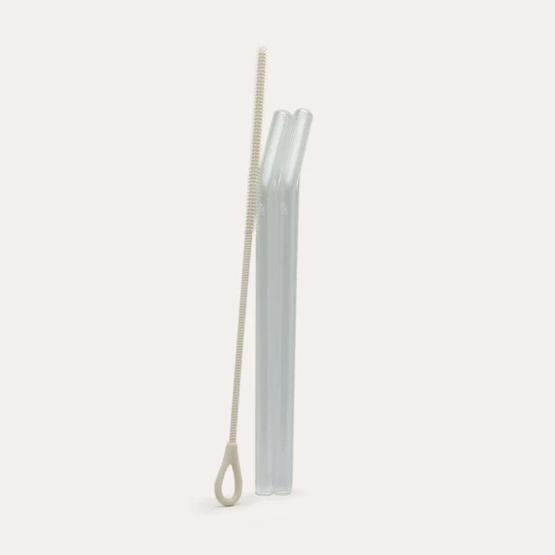 Seed & Sprout Straw Set - glass