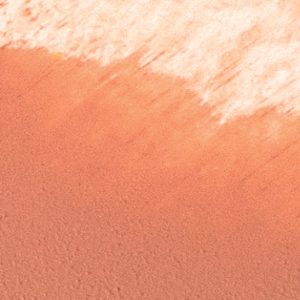 Ere Perez Carrot Colour Pot - Healthy