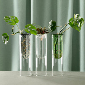 Milligram Organic Interiors Propagation Vase