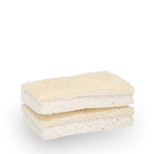 Seed & Sprout Compostable Sponge - Set of 2