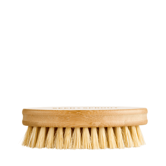 Seed & Sprout Vegetable Cleaning Brush