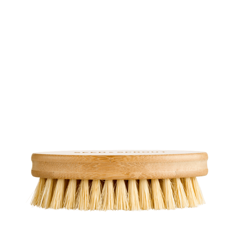 Seed & Sprout Vegetable Cleaning Brush